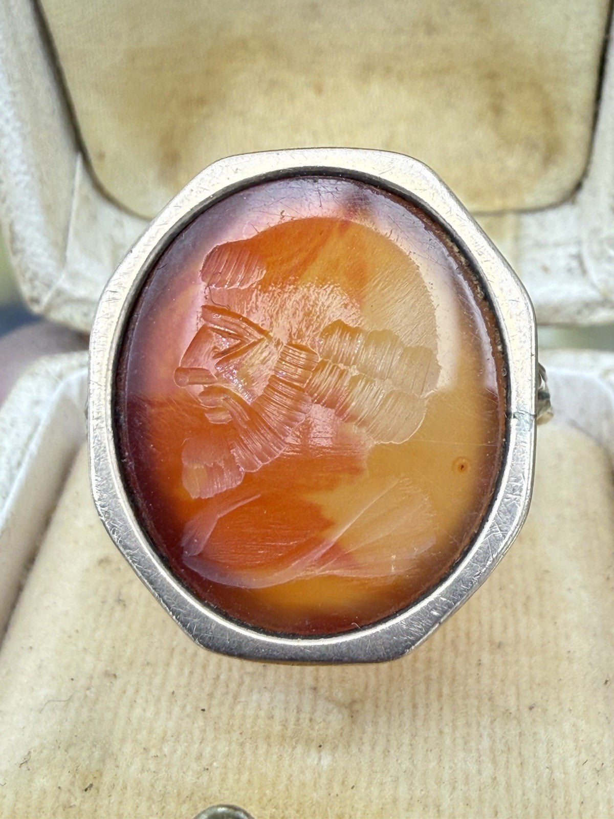 Anello borbonico in oro 6/7 kt con corniola incisa a volto di filosofo – foto 8
